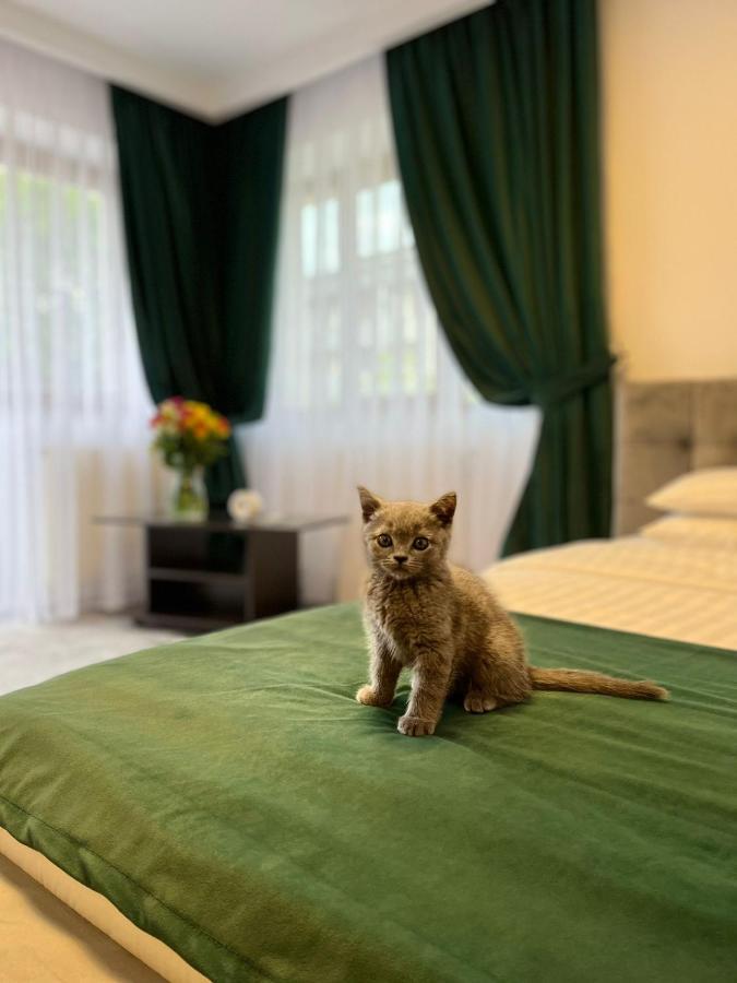 Vila Calimanel Hotel Dornavátra Kültér fotó